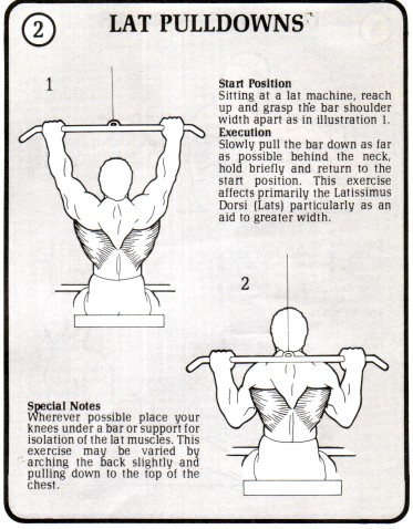 lat pull downs muscles workouts for and and lat pull downs muscles workouts for and and